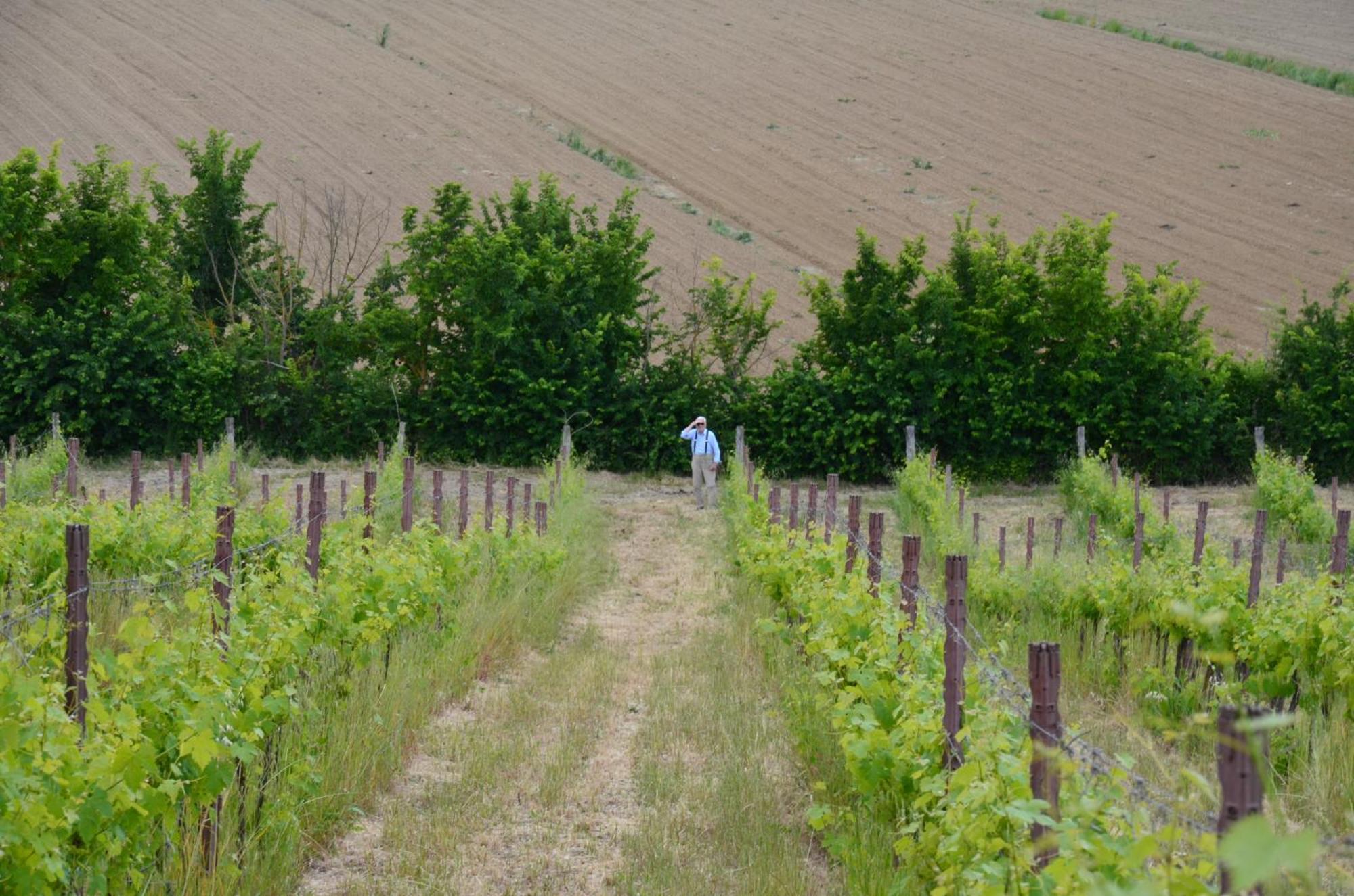 Agriturismo Sant'Alfredo Monteroni d'Arbia Luaran gambar